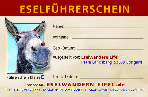 Eselwandern-Eifel-Petra-Landsberg-Bongard-NaturPur-Entschleuniger-Entschleunigung-Auszeit-Eseln-Geschichtsstraße-Gutschein-Geschenkidee-Waldübernachtung-Schäferwagen-Naturerlebnis-Abenteuer-Eselführerschein-Barsberg-Vulkaneifel-Altes-Forsthaus-Wanderroute