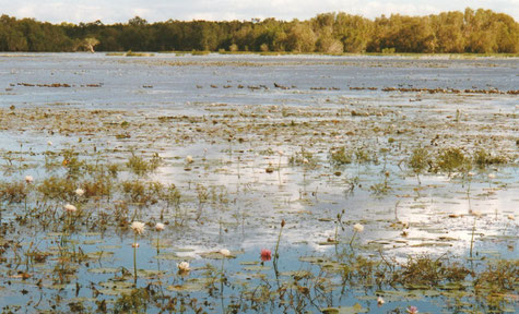 An der Horseshoe Lagoon