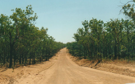 Fahrbahnbeschaffenheit der nördlichen Zufahrt in den Litchfield Park