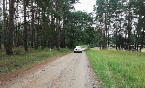 Schotterweg durch Feld und Wald