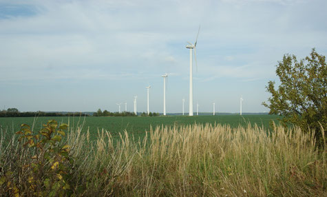Windkrafträder in der weiten Landschaft
