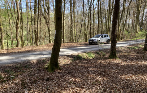 Waldweg oberhalb der Brend