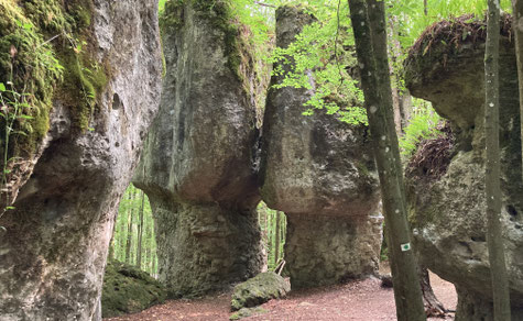 Felsenstadt mitten im Wald