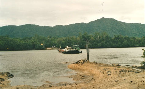 Fähre über den Daintree River
