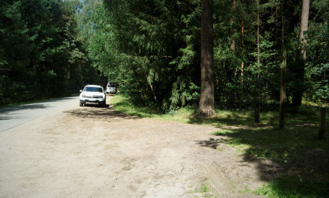 Im Naturpark Südheide