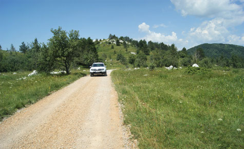 Schotterweg auf dem Kalksteinplateau