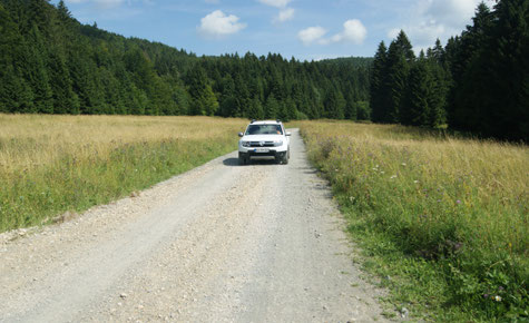 Schöne Piste auf der Hochebene