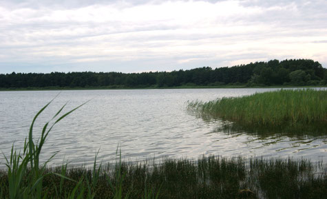 Am Treptowsee