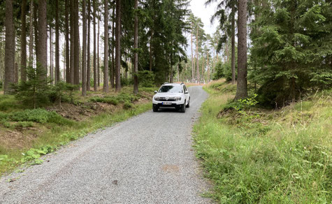 Schotterpiste durch ein Waldstück im Schweinsbachtal
