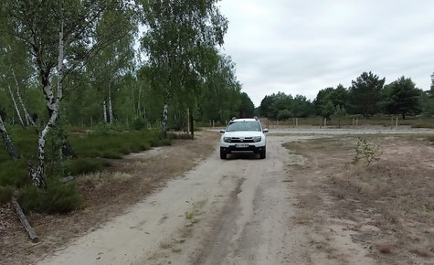 Sandweg in der Lieberoser Heide