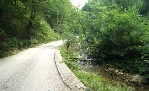 Idyllischer Schotterweg entlang des Baches