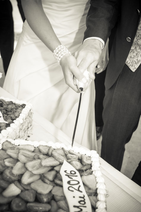 Hochzeit Dresden, Hochzeitsfotograf Dresden, Hochzeit Goetheallee Dresden, Hochzeitsfotos Altstadt Dresden, Hochzeit Lingnerterrassen Dresden