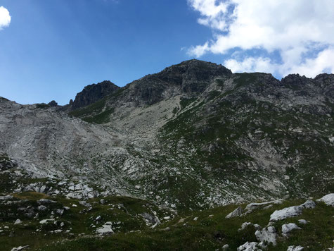 Blick aufs Nebelhorn