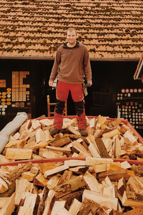brennholz müller mueller sinsheim holz kaufen ofen holz heizen regional dühren sinsheim meckesheim heidelberg bad rappenau zulieferung forstwirtschaft sinsheim wald baum traktor
