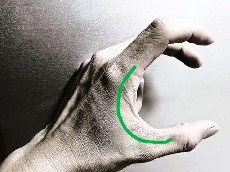 親指と人差し指の基本の形の画像