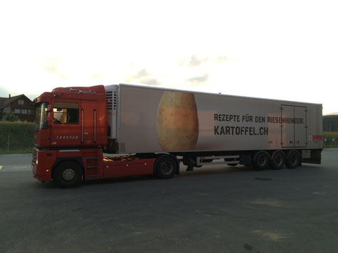RENAULT MAGNUM 500 Traveco Steffenris