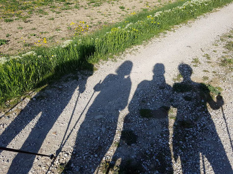 marche nordique nordic walking bâtons manosque 04 valérie sire lefeuvre gyme fitness plein air extérieur sorties