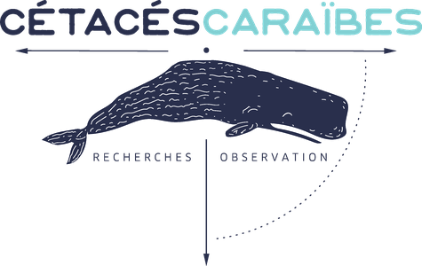 Site de cetacescaraibes !