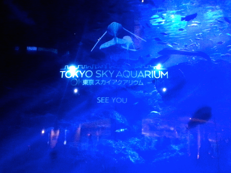 東京スカイアクアリウム　SEE YOU