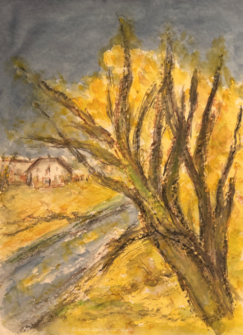 Es leuchtet gelb am Bach (48 x 36 cm)