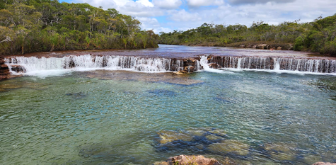 An den Fruit Bat Falls