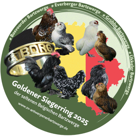 Logo Goldener Siegerring 2023  - seltene Belgische Bartwerge 