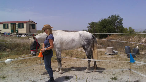 Pegaso when he was first rescued