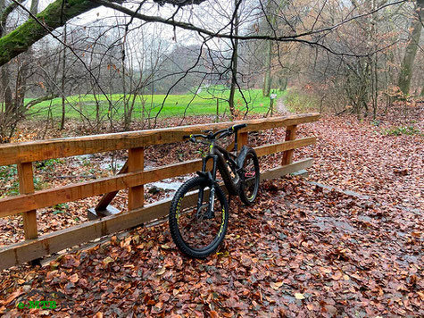 Das Specialized Kenevo 2020 im Test bei Regenwetter