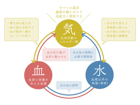 気血水の関係性