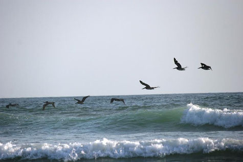 surfgasm - meerdavon - ölifetravellerz - strand -welle - surfen