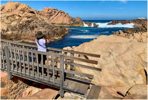 Leeuwin Naturaliste Nationalpark, Cape Leeuwin, Margaret River, Canal Rocks, Südwestaustralien, Wildflowers
