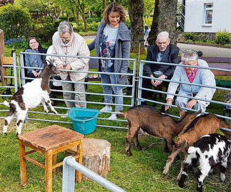 Unterhaltung der besonderen Art boten die Ziegen im Haus Mühlental in Schenefeld.