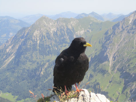 Du lebst in einer Matrix. Die Matrix ist ein unsichtbares Gefängnis aus Programmierungen, die du von deinen Vorfahren übernommen und in der Kindhei bekommen hast.