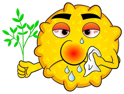 Allergie Adieu