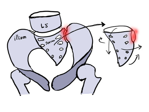 仙腸関節 ぎっくり腰 国分寺こみね鍼灸整骨院