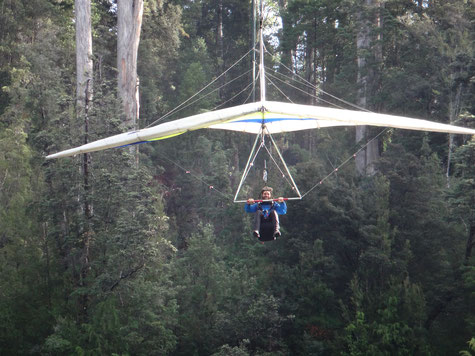 Paragliding im Wald?! ;)
