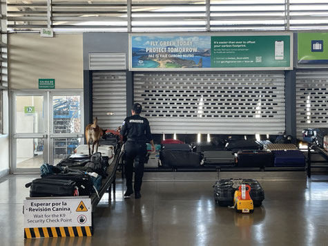 Baggage pick-up at the GPS Airport in photo security person and a police dog