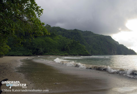 Coast of Cocos Island - Underseahunter Group