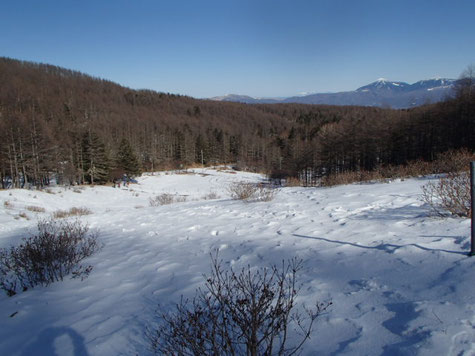 入笠山