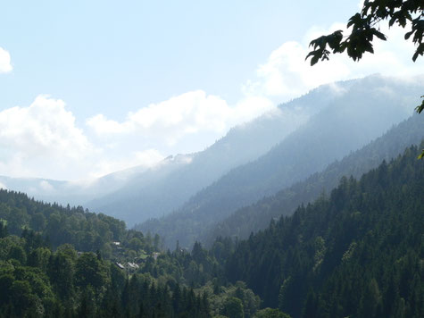 Johnsbach im Gesäuse, Ruhe und Erholung in den Bergen