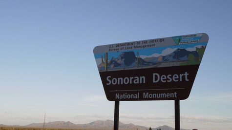 Bild: Sonoran Desert Arizona