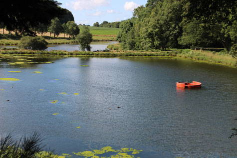 art co morbihan