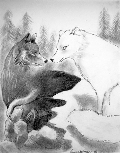 fox traditional art drawing myth pencil