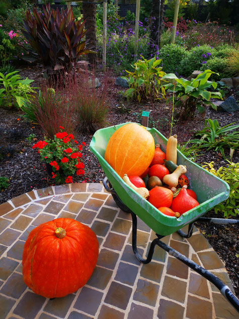 Permaculture, jardin potager, productif, rennes 