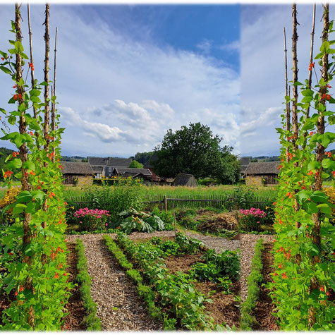 Der ArcheSchaugarten nabugss Webseite!