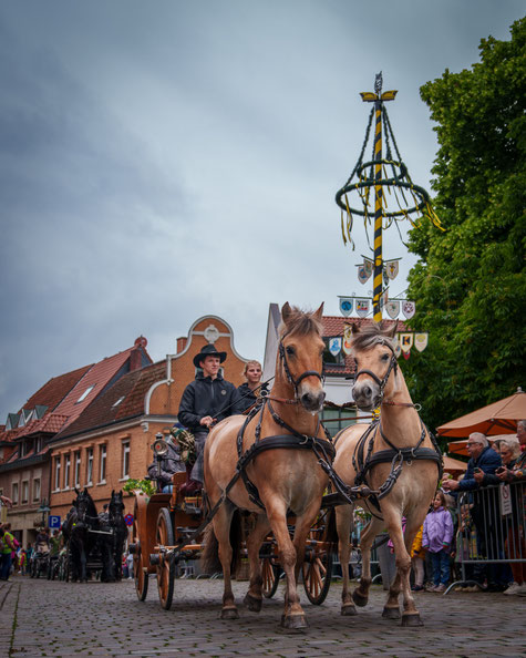 Tradition und Glauben auf Rädern – die Kutschenwallfahrt in Telgte als lebendiges Zeugnis gemeinsamer Geschichte