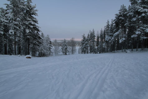 Firmenreise nach Schweden, Lappland an der Polarkreis