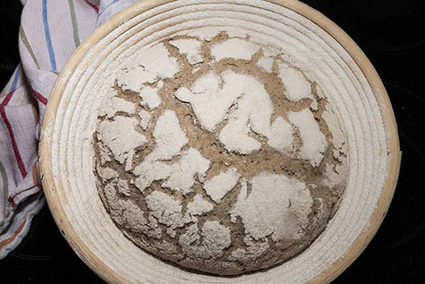 Brot-Teigling geht im Gärkörbchen aus Peddigrohr