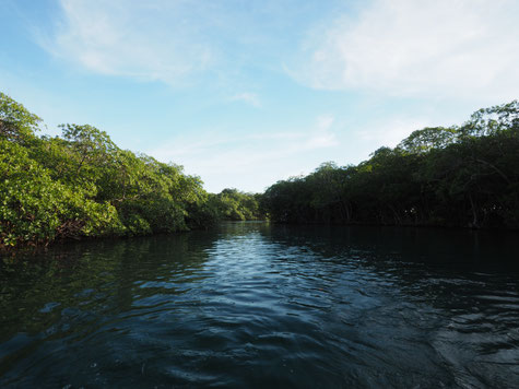 Kanal zwischen Roatan und Santa Elena