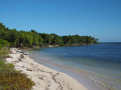 Rose Cay